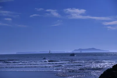 DSC_0860 (Large).JPG